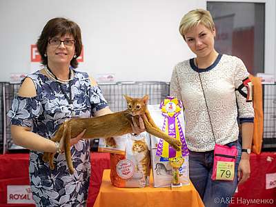 �������� ����� 24-25 ������� 2019 �. ���������� 5-79-0248.jpg