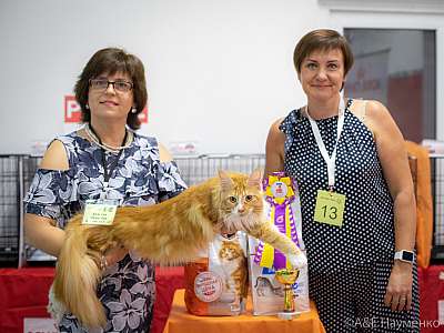 �������� ����� 24-25 ������� 2019 �. ���������� 7-13-0250.jpg