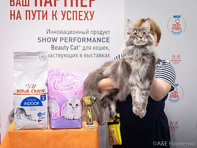 �������� ����� 24-25 ������� 2019 �. ���������� 1-3-IMG_9870.jpg