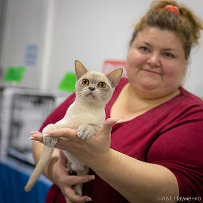 �������� ����� 24-25 ������� 2019 �. ���������� 3-104-0270.jpg