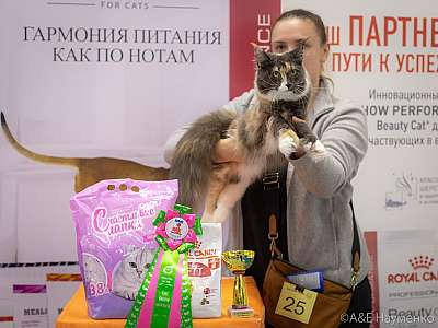 �������� ����� 24-25 ������� 2019 �. ���������� 4-25-.jpg