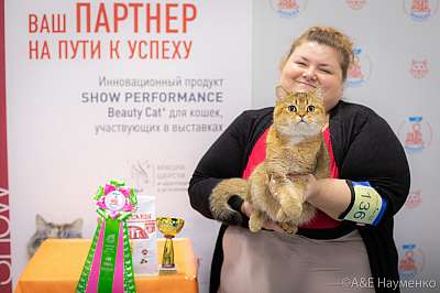 �������� ����� 24-25 ������� 2019 �. ���������� 2-136-0523.jpg