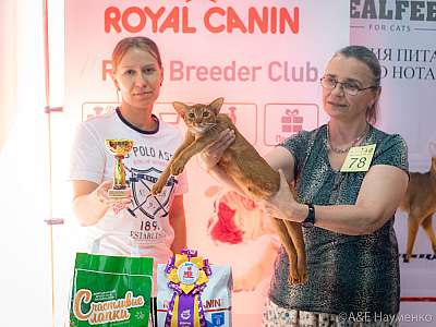 �������� ����� 24-25 ������� 2019 �. ���������� 2-78-0550.jpg