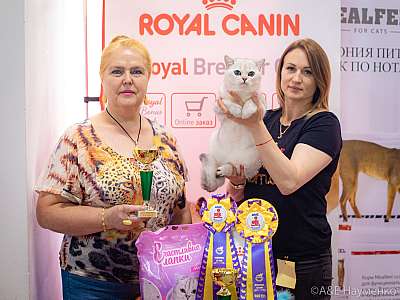 �������� ����� 24-25 ������� 2019 �. ���������� 1-96-0472.jpg