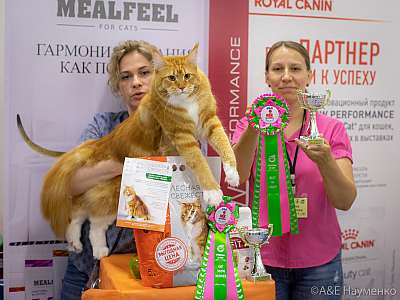 �������� ����� 24-25 ������� 2019 �. ���������� 1-14-0113.jpg