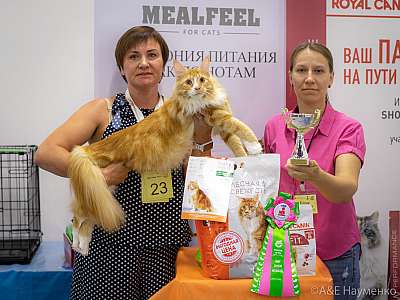 �������� ����� 24-25 ������� 2019 �. ���������� 3-13-0119.jpg