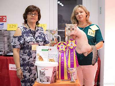 �������� ����� 24-25 ������� 2019 �. ���������� 1-135-0279.jpg