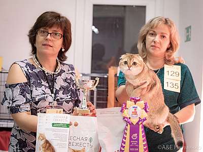 �������� ����� 24-25 ������� 2019 �. ���������� 3-129-0284.jpg