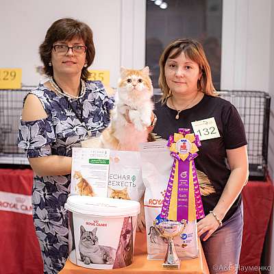 �������� ����� 24-25 ������� 2019 �. ���������� 4-132-0280.jpg