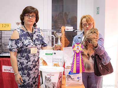 �������� ����� 24-25 ������� 2019 �. ���������� 5-43-0282.jpg