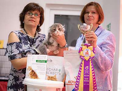 �������� ����� 24-25 ������� 2019 �. ���������� 7-41-0283.jpg