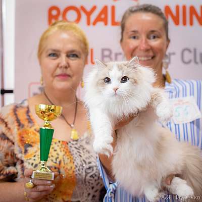 �������� ����� 24-25 ������� 2019 �. ���������� 2-55-0533.jpg