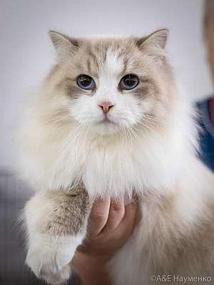 �������� ����� 24-25 ������� 2019 �. ���������� 8-170-0516.jpg