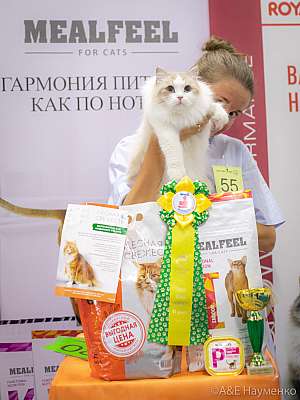 �������� ����� 24-25 ������� 2019 �. ���������� 6-55-0198.jpg