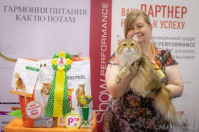 �������� ����� 24-25 ������� 2019 �. ���������� 9-66-0197.jpg