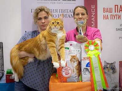 �������� ����� 24-25 ������� 2019 �. ���������� 1-14-0122.jpg