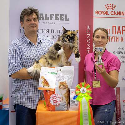 �������� ����� 24-25 ������� 2019 �. ���������� 2-168-0121.jpg