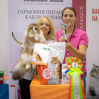 �������� ����� 24-25 ������� 2019 �. ���������� 3-45-0120.jpg