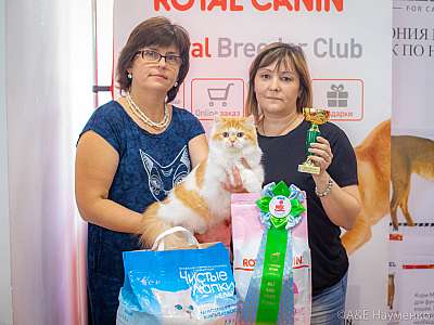 �������� ����� 24-25 ������� 2019 �. ���������� 5-132-0443.jpg