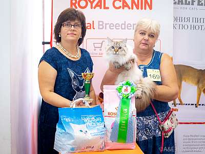 �������� ����� 24-25 ������� 2019 �. ���������� 9-169-0447.jpg