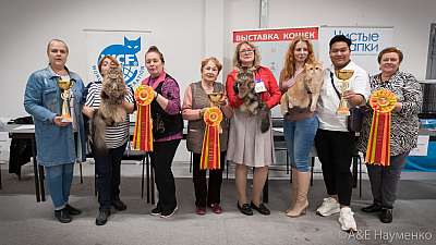 �������� ����� 21-22 �������� 2019 �.  ���������� 0435.jpg