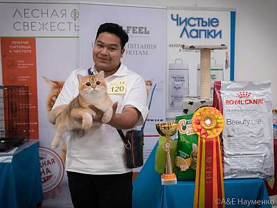 �������� ����� 21-22 �������� 2019 �.  ����������