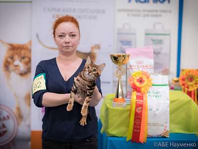 �������� ����� 21-22 �������� 2019 �.  ���������� 10-92-0366.jpg