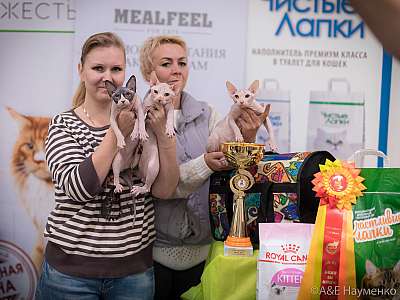 �������� ����� 21-22 �������� 2019 �.  ���������� 11-171-0335.jpg