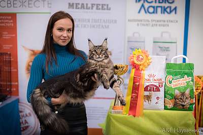 �������� ����� 21-22 �������� 2019 �.  ���������� 12-43-0328.jpg