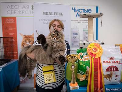 �������� ����� 21-22 �������� 2019 �.  ���������� 2-39-0432.jpg