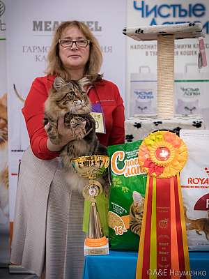 �������� ����� 21-22 �������� 2019 �.  ���������� 3-78-0434.jpg