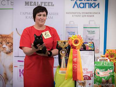 �������� ����� 21-22 �������� 2019 �.  ���������� 4-98-0428.jpg