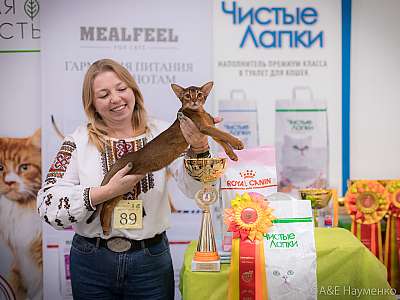 �������� ����� 21-22 �������� 2019 �.  ���������� 8-89-0386.jpg