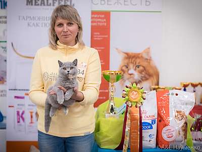 �������� ����� 21-22 �������� 2019 �.  ���������� 10-184-0815.jpg