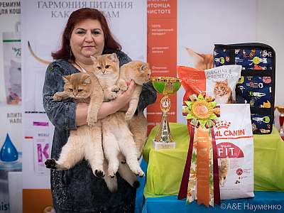 �������� ����� 21-22 �������� 2019 �.  ���������� 11-124-0789.jpg