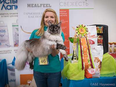 �������� ����� 21-22 �������� 2019 �.  ���������� 3-46-0857.jpg