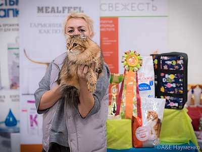 �������� ����� 21-22 �������� 2019 �.  ���������� 4-79-0843.jpg