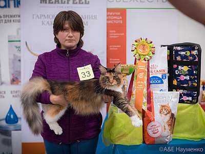 �������� ����� 21-22 �������� 2019 �.  ���������� 6-33-0838.jpg