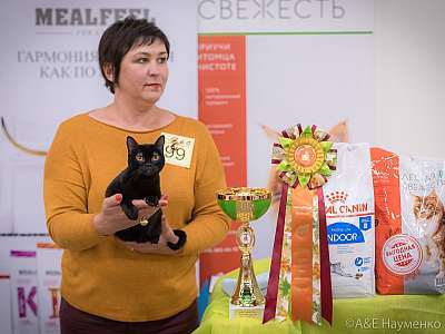 �������� ����� 21-22 �������� 2019 �.  ���������� 8-99-0827.jpg