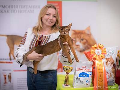 �������� ����� 21-22 �������� 2019 �.  ���������� 1-89-0246.jpg