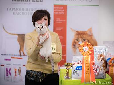 �������� ����� 21-22 �������� 2019 �.  ���������� 10-161-0233.jpg