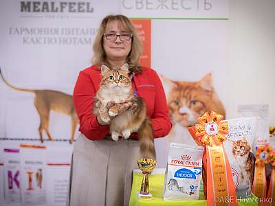 �������� ����� 21-22 �������� 2019 �.  ���������� 4-80-0242.jpg