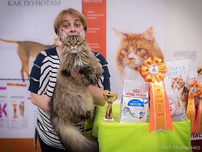 �������� ����� 21-22 �������� 2019 �.  ���������� 5-39-0241.jpg