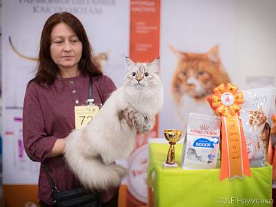 �������� ����� 21-22 �������� 2019 �.  ���������� 6-72-.jpg