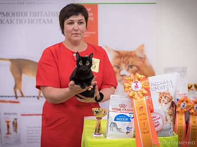 �������� ����� 21-22 �������� 2019 �.  ���������� 7-99-0238.jpg