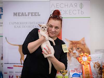 �������� ����� 21-22 �������� 2019 �.  ���������� 9-189-0234.jpg