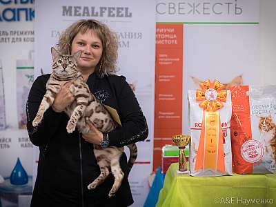 �������� ����� 21-22 �������� 2019 �.  ���������� 1-95-0676.jpg