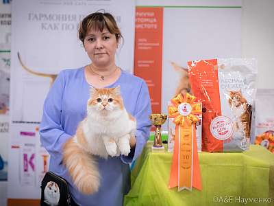 �������� ����� 21-22 �������� 2019 �.  ���������� 10-3-0666.jpg