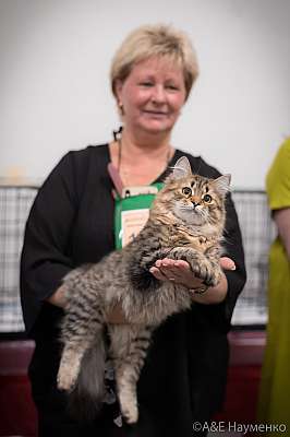 �������� ����� 21-22 �������� 2019 �.  ���������� 2-191.jpg