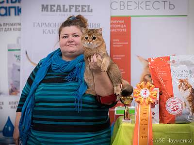 �������� ����� 21-22 �������� 2019 �.  ���������� 4-148-0675.jpg